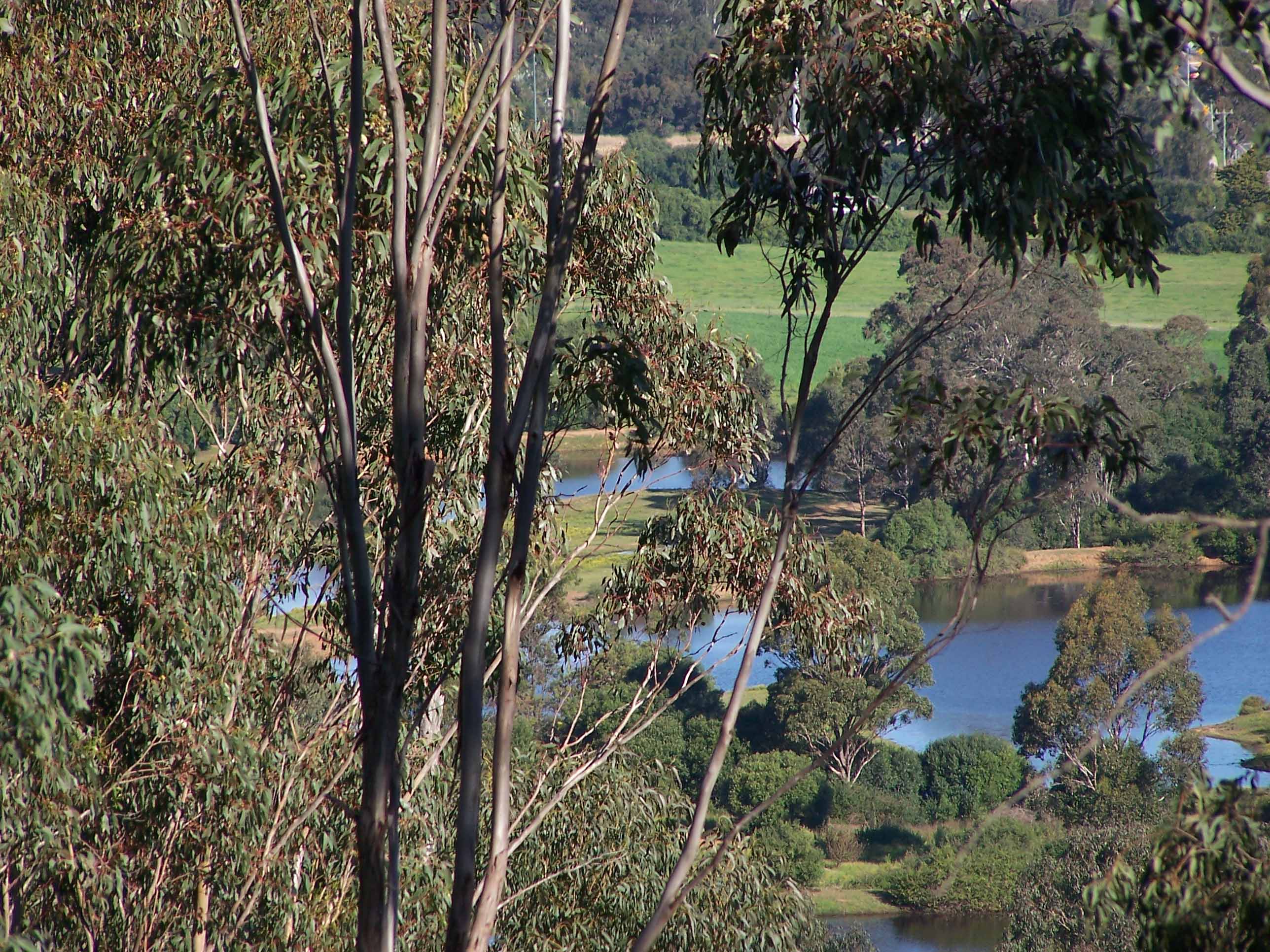 Dams_from_BC_Hill