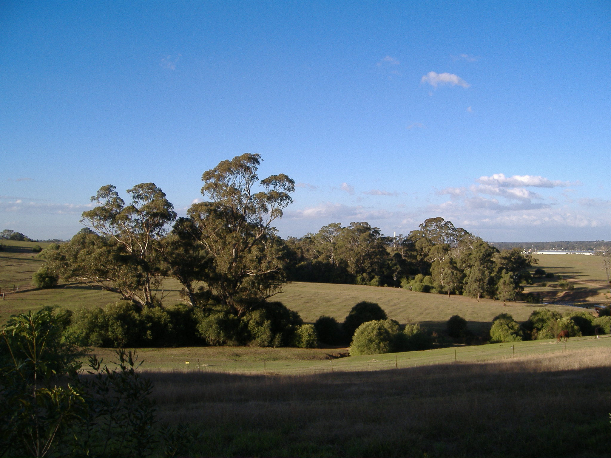 View_from_house_front